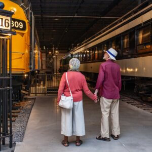 Admission générale (adulte)